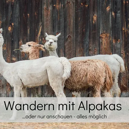 Apartmán Lalelou Braunlage, Perfekt Fuer Familien, Zentral Mit Garten 120qm, Inkl Waeschepaket Und Wlan, Boxspringbett, 6 Personen *