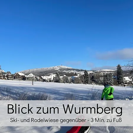 Lalelou Braunlage, Perfekt Fuer Familien, Zentral Mit Garten 120qm, Inkl Waeschepaket Und Wlan, Boxspringbett, 6 Personen