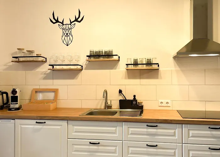 Lalelou Braunlage, Perfekt Fuer Familien, Zentral Mit Garten 120qm, Inkl Waeschepaket Und Wlan, Boxspringbett, 6 Personen Appartamento *