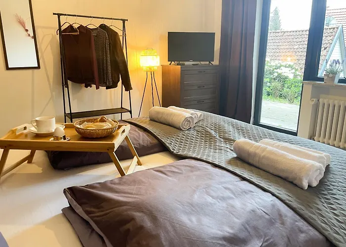 Lalelou Braunlage, Perfekt Fuer Familien, Zentral Mit Garten 120qm, Inkl Waeschepaket Und Wlan, Boxspringbett, 6 Personen *