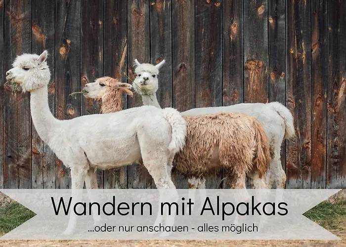 Appartamento Lalelou Braunlage, Perfekt Fuer Familien, Zentral Mit Garten 120qm, Inkl Waeschepaket Und Wlan, Boxspringbett, 6 Personen *