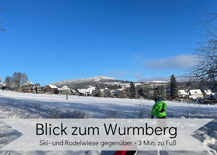 Lalelou Braunlage, Perfekt Fuer Familien, Zentral Mit Garten 120qm, Inkl Waeschepaket Und Wlan, Boxspringbett, 6 Personen
